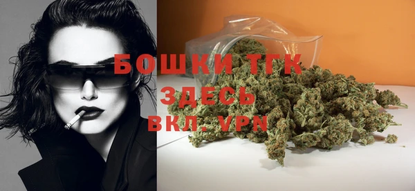 индика Горнозаводск