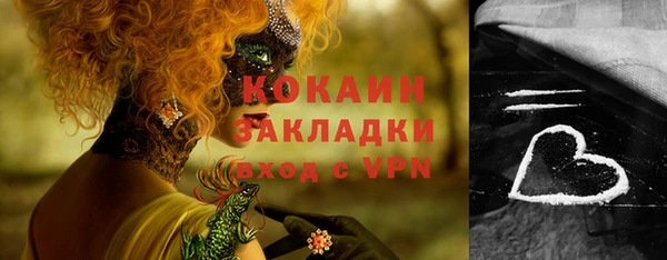 индика Горнозаводск