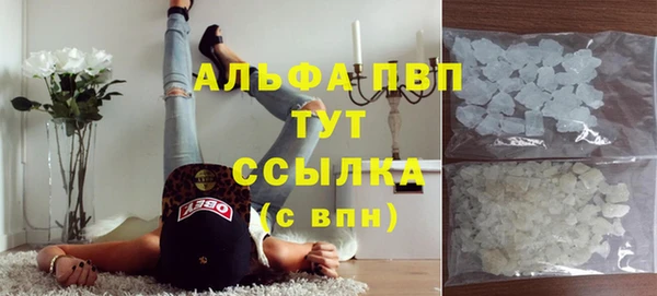 мяу мяу мука Горняк