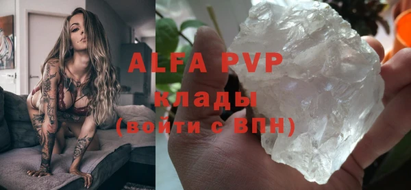 индика Горнозаводск