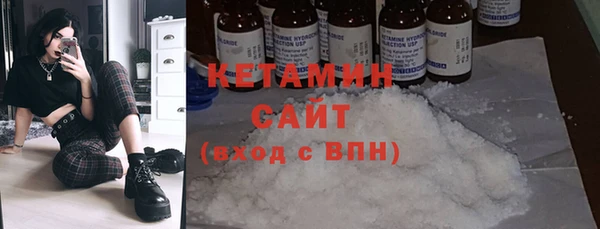 индика Горнозаводск