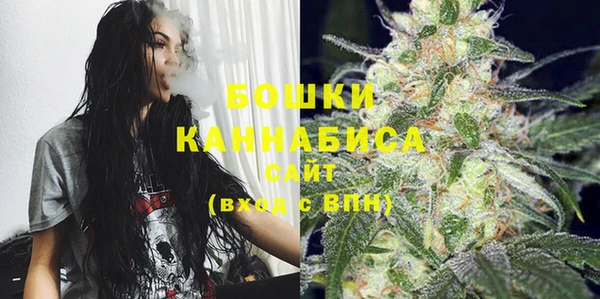 индика Горнозаводск