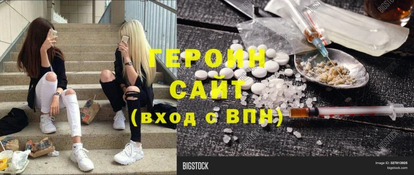индика Горнозаводск