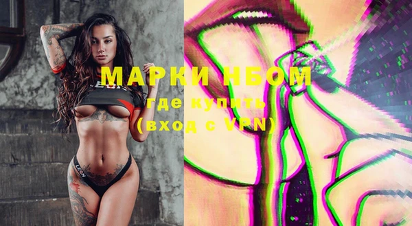 индика Горнозаводск