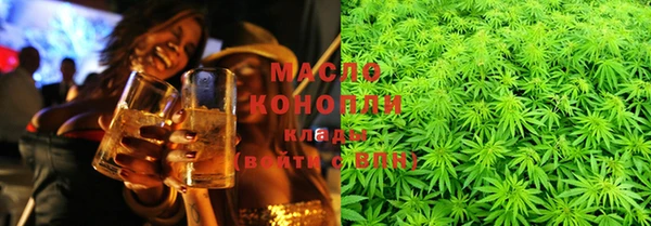 индика Горнозаводск