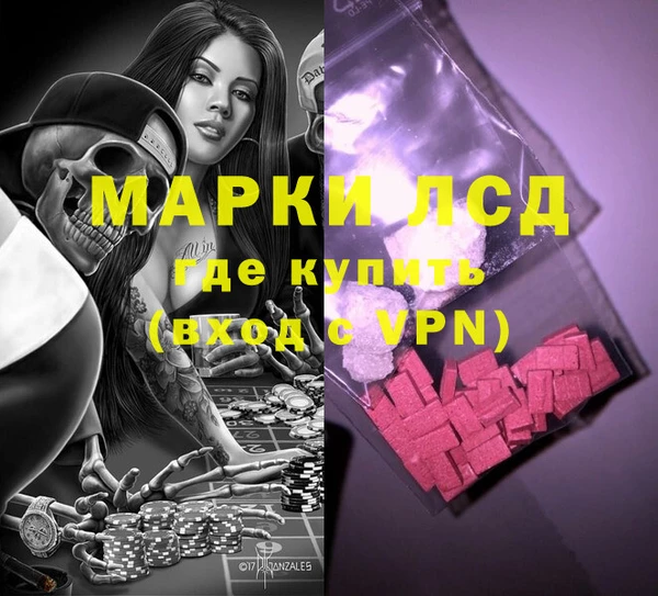 индика Горнозаводск