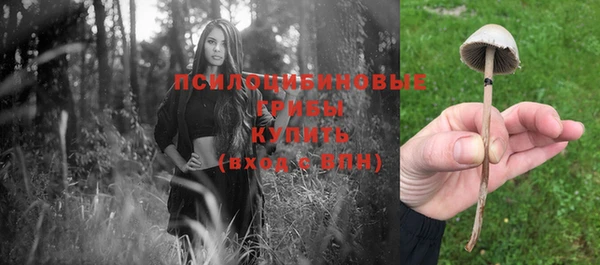 мяу мяу мука Горняк