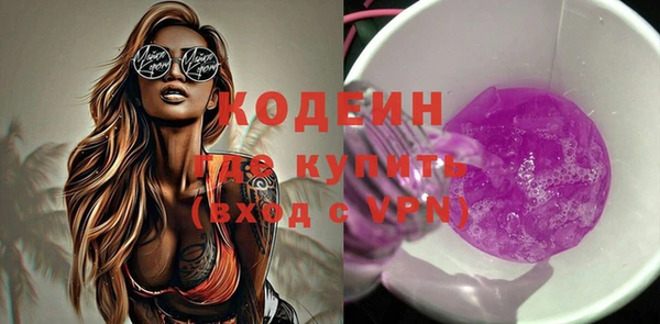 индика Горнозаводск