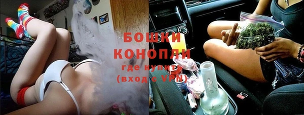 индика Горнозаводск