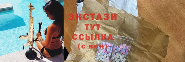 индика Горнозаводск
