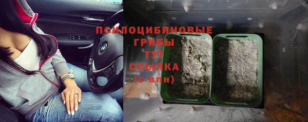 мяу мяу мука Горняк